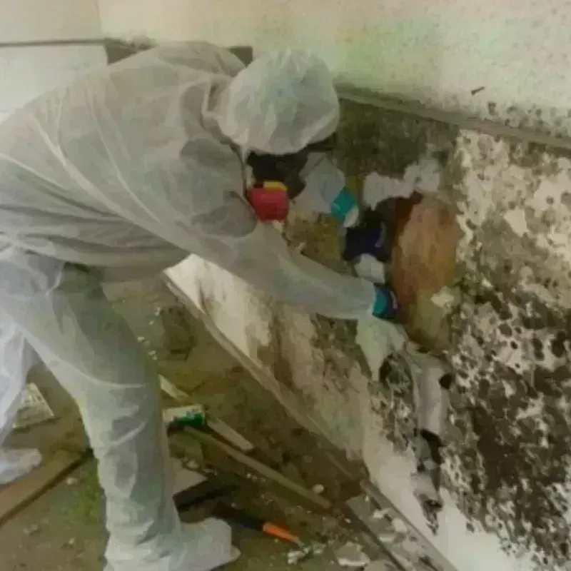 Mold Remediation and Removal in Thunderbolt, GA