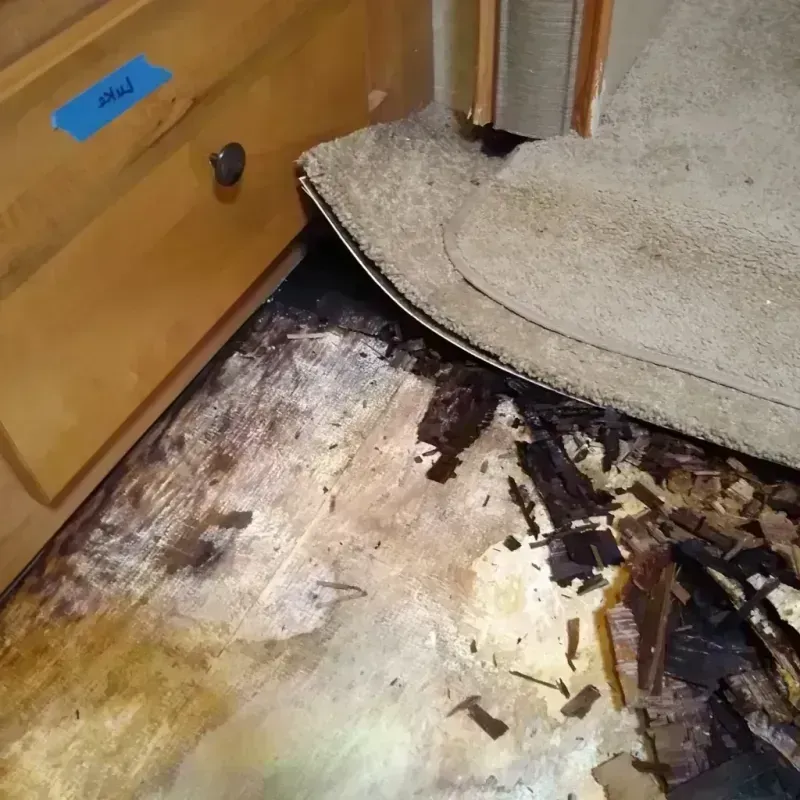 Wood Floor Water Damage in Thunderbolt, GA